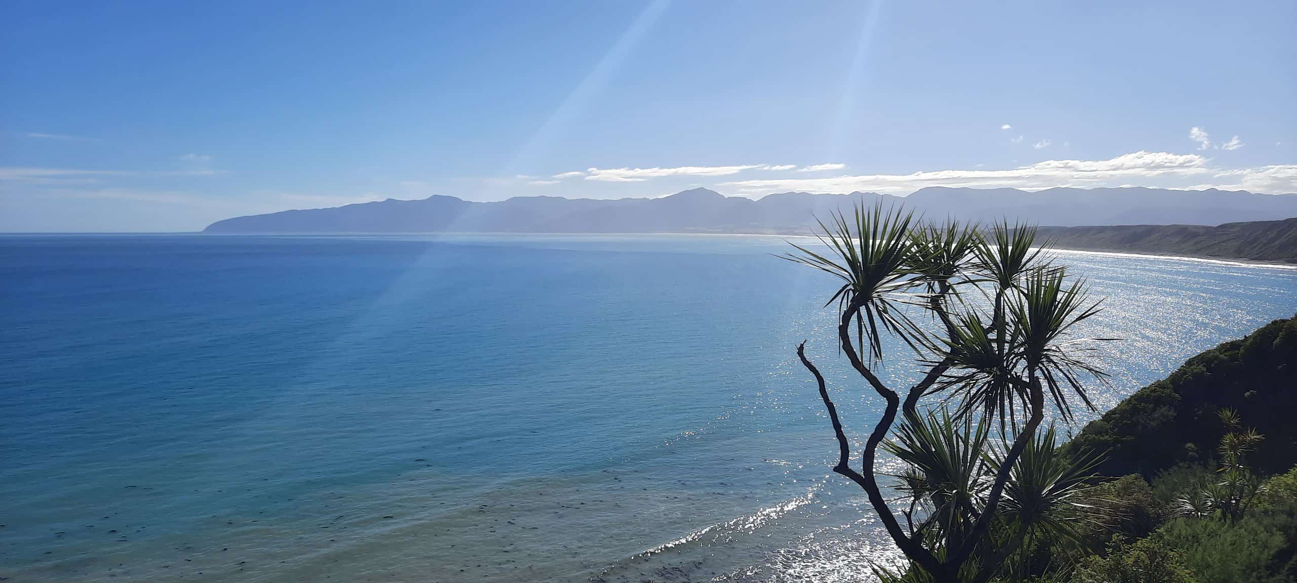 Palliser Bay